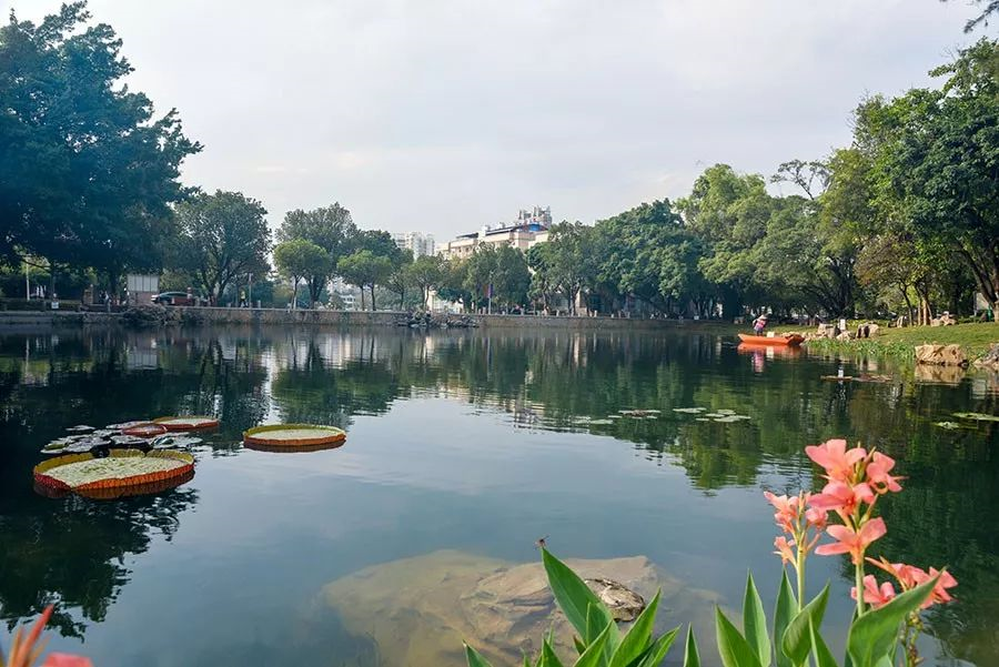 5c1c645556c37.png 12.png