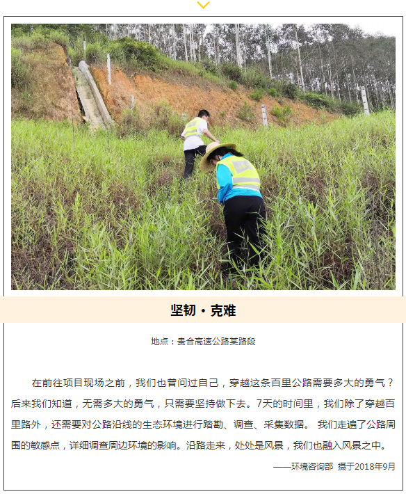 5cf8742228290.png 3.png