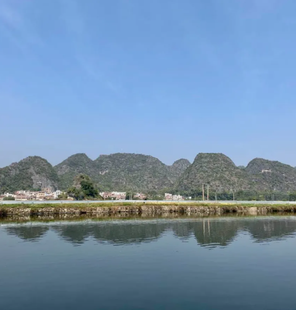 607bd368cdb91.png 6.png